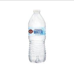 Agua purificada Wellsley Farms (16,9oz)